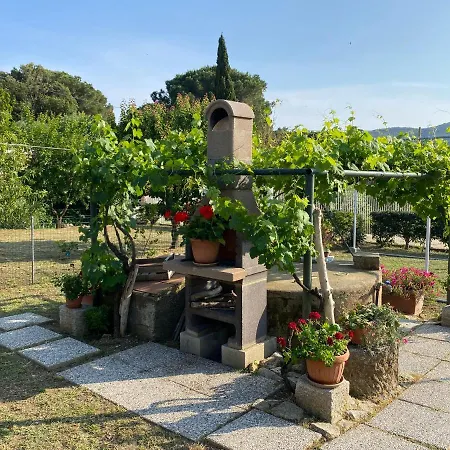 Di Rosa Procchio